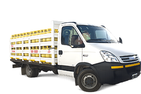 Camión de reparto de garrafas de CPEgas