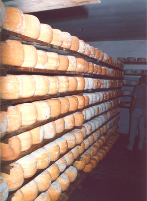 Quesería de la planta láctea